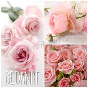 Bedankt - 3 luik roze rozen